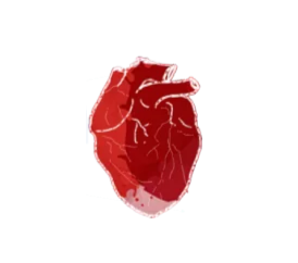 img-heart2
